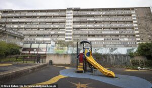 The ‘forgotten’ residents on Britain’s most notorious housing estate: How failed £1.5bn regeneration deal has left London tower blocks overrun with squatters and drugs