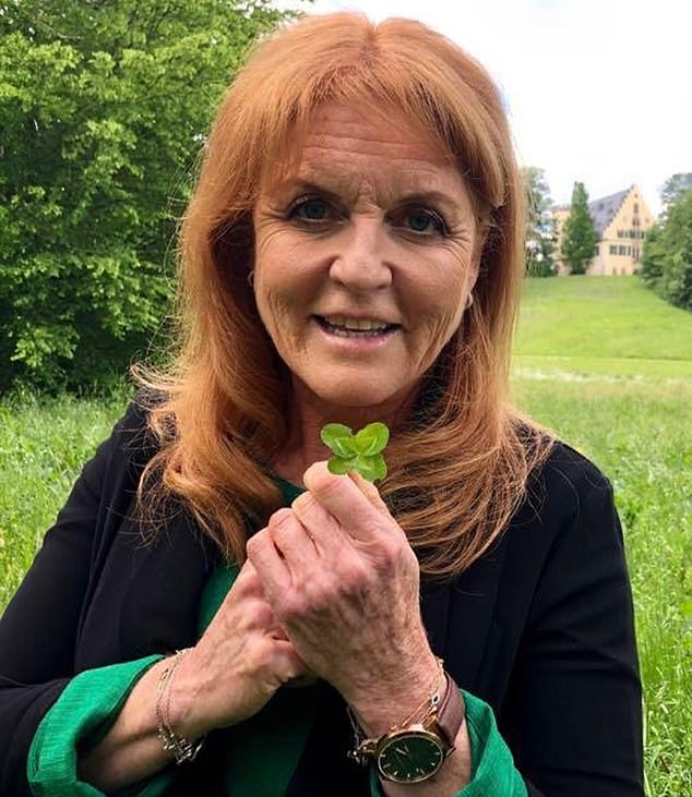 Where’s Fergie? The publicity-loving ex-duchess was last spotted on December 12. From Priscilla Presley’s LA guest house to an old flame’s mansion in Wiltshire, BARBARA DAVIES track the clues…