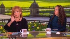 The View hosts try to stir trouble in Usha Vance’s marriage to JD as they launch vile attack on second lady