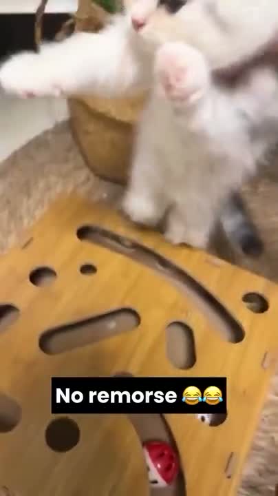 complete regular short