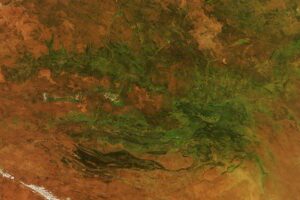 Australia’s “Red Centre” Turns Green
