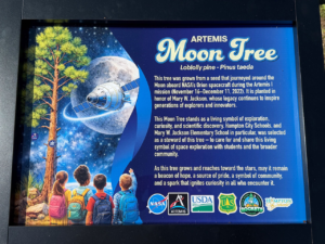 Artemis Moon Tree Dedicated in Honor of Mary W. Jackson