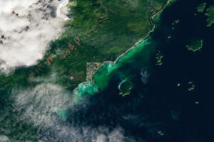 Satellite Spots a Spawn – NASA Science