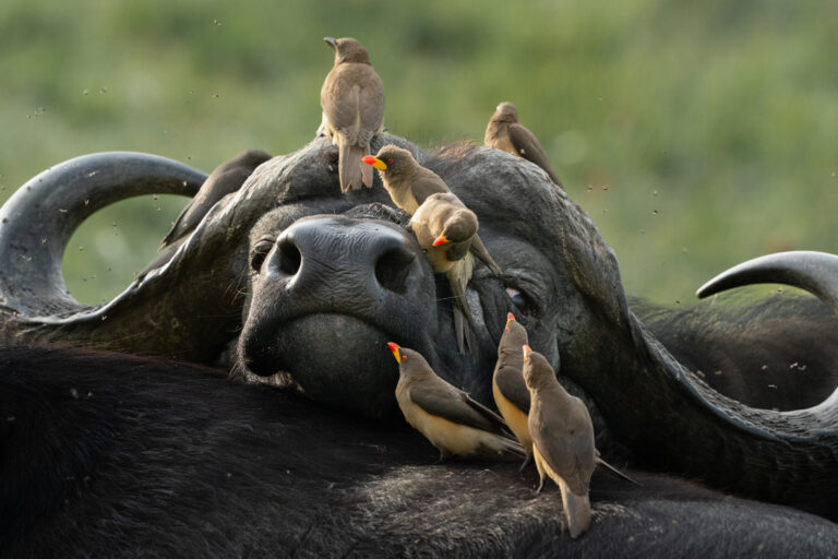 6 Ways to Be Less Un-Ready