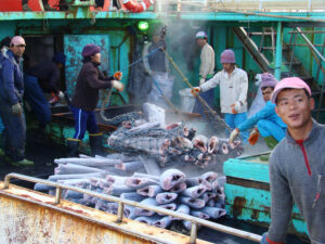 New Investigation Reveals Forced Labour Tied to Tuna Sold in Australia