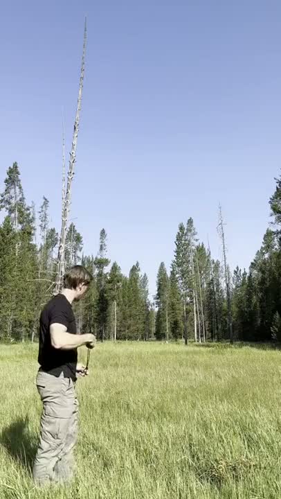 zigdanamus freakish this