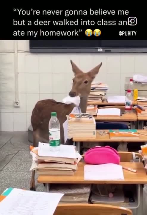 helpful callous eroded