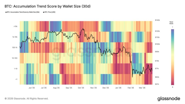 Broad-based BTC selloff intensifies, led primarily by retail holders