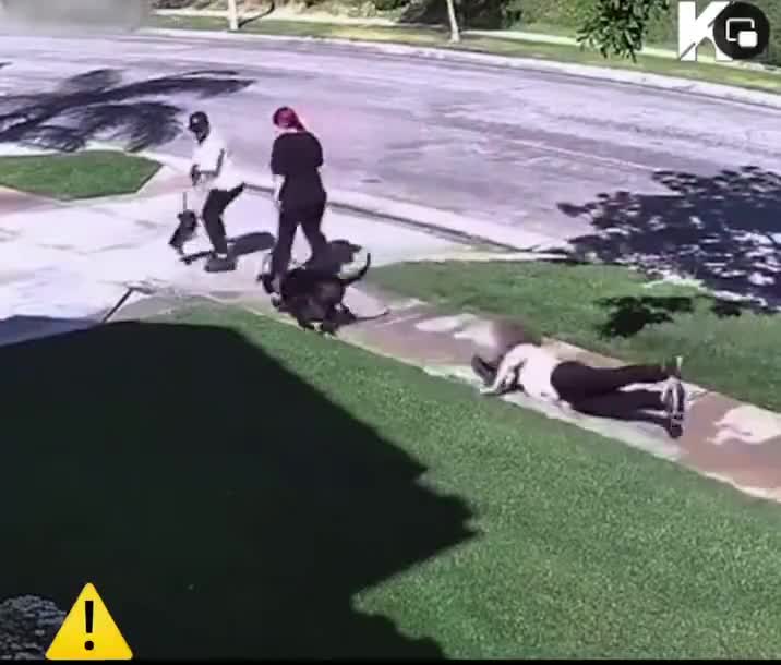 appropriated motley fatal