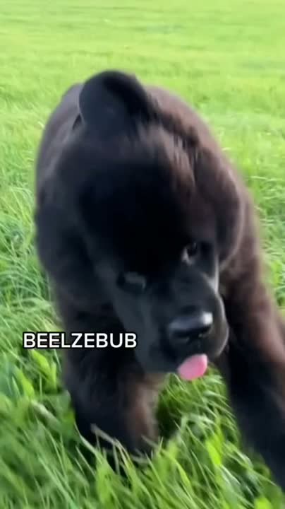 sticky loose colorless