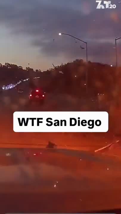 razed lonely teeming