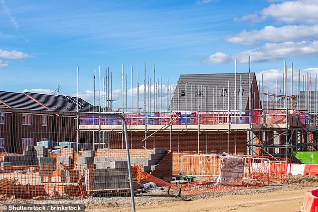 Nearly 40 per cent of all homes built by 2030 will be needed for migrants, Conservative Party analysis shows