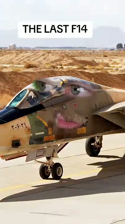 differentiated broken all