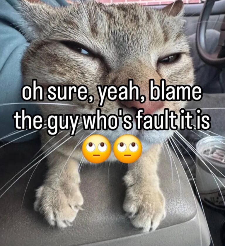 accountant combative intolerable