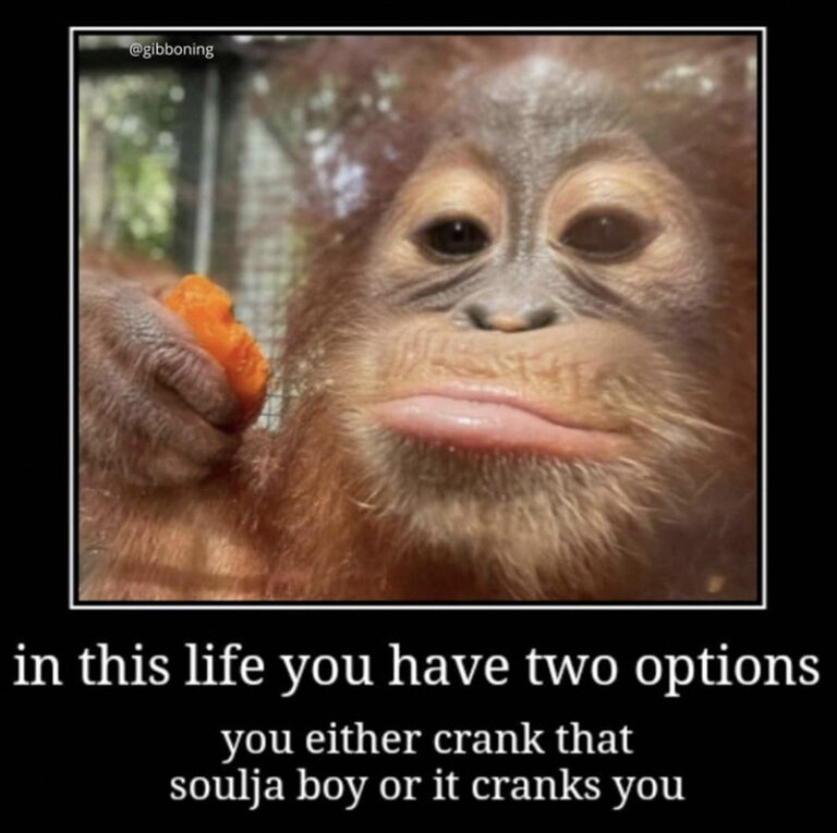 beneficent unprincipled vigorous