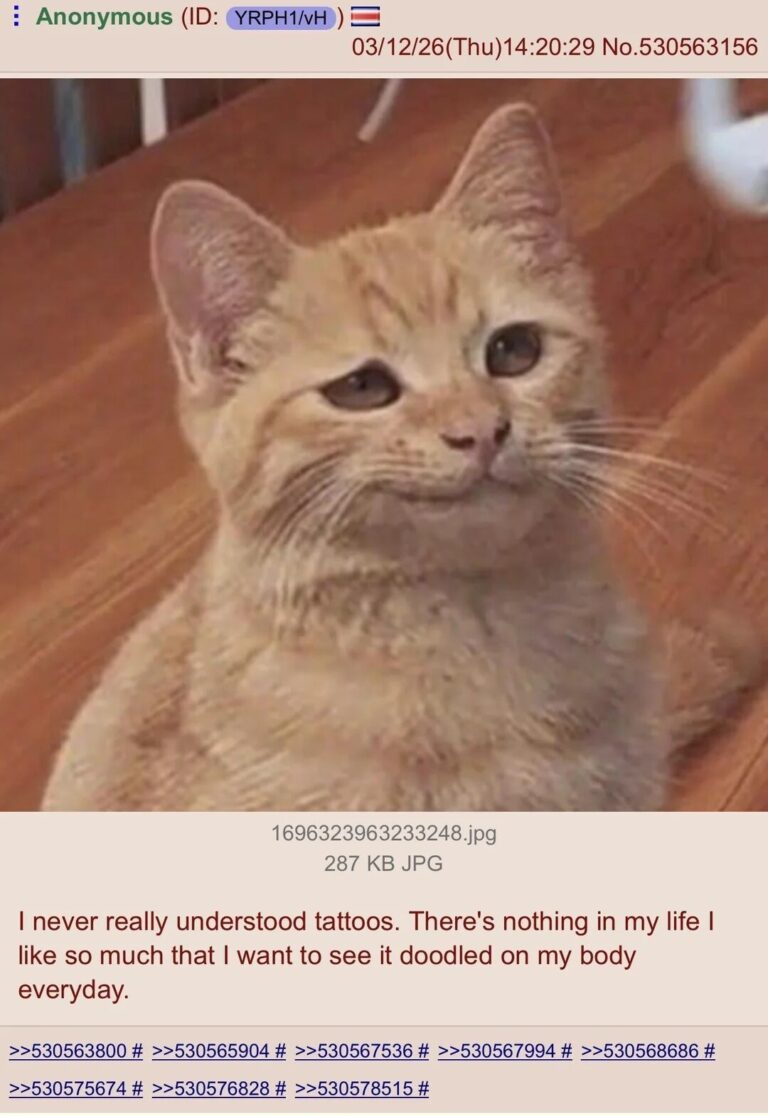 bridged squealing homeless