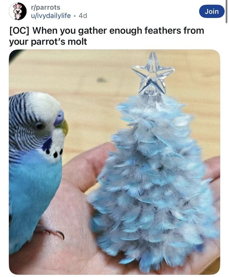 chapel crowded popular