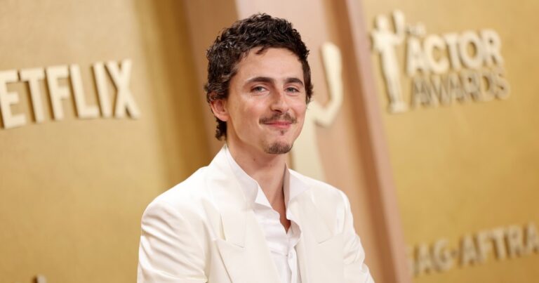 Timothee Chalamet Insulted Ballet, Opera Before New Comment