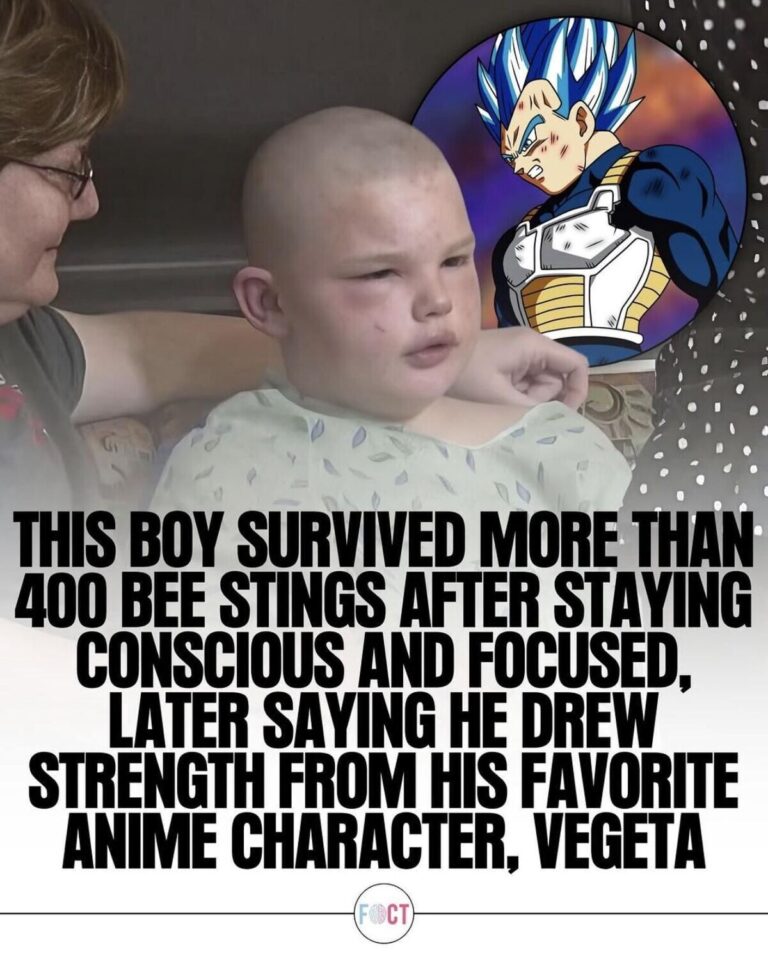 Himmel the Hero was not the only Hero