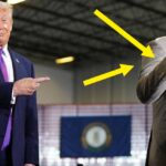 Donald Trump's Random Celebrity Endorsement Is Going Viral For All Of The Wrong Reasons