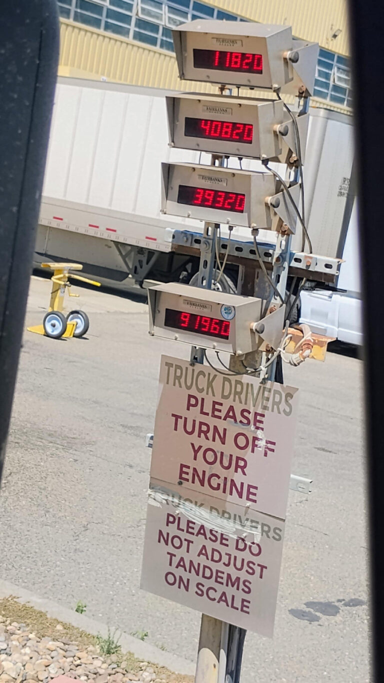 nuanced successful squint