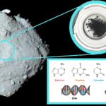 Ryugu asteroid sample contains all five key components of DNA and RNA: the building blocks of all living things