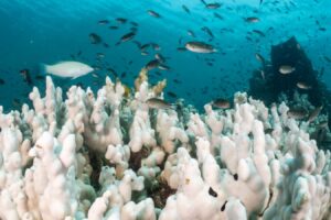 Earth is now heating up twice as fast as in previous decades