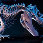 The shocking fossils that show T. rex wasn’t the king of the dinosaurs