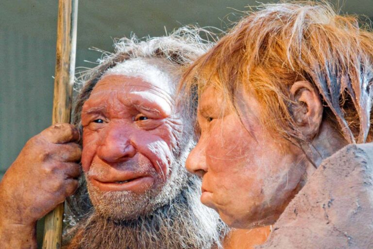 Genetic clues tell the story of Neanderthals’ decline