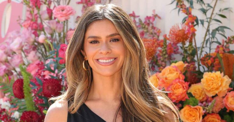 Taylor Frankie Paul Domestic Violence Allegations Explained