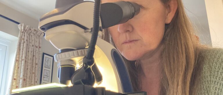 Here’s our how-to guide for observing a meteorite with a microscope