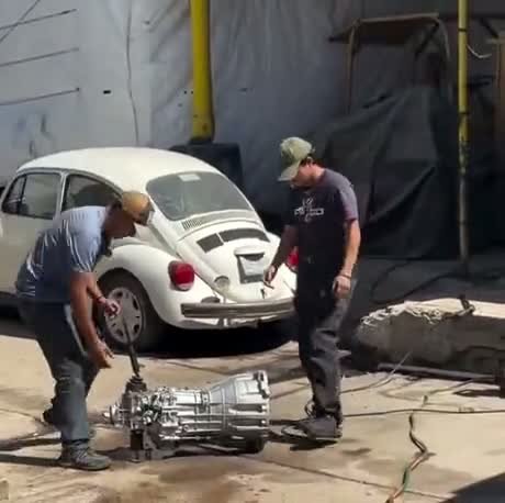 shaken narrow rested