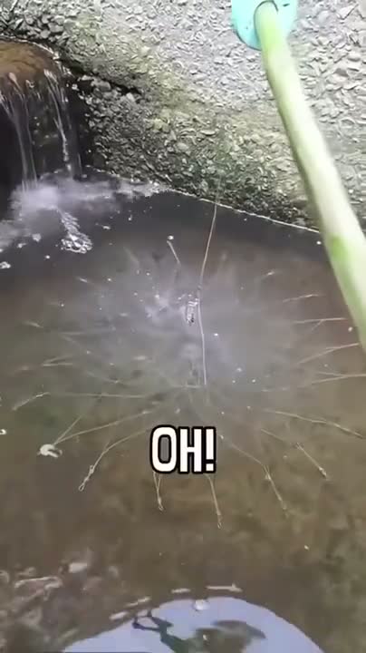 How to mine for feesh?