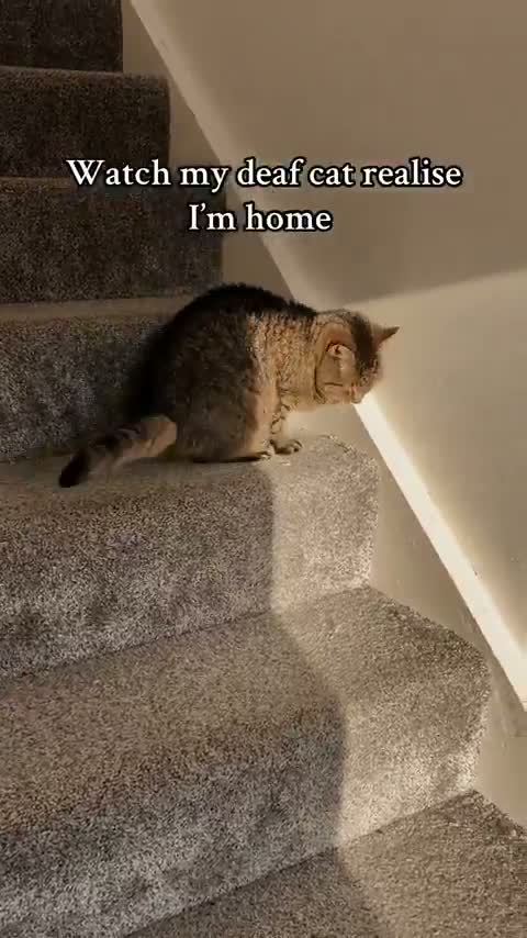 simplest blindfolded engrossing