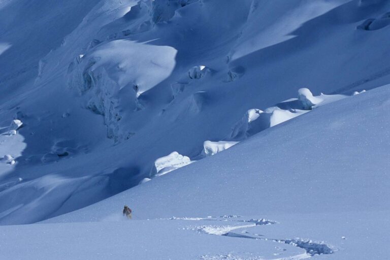 Group of 20 Set Out on a Fun Ski Adventure That Became 'the Worst Nightmare That a Human Can Ever See'