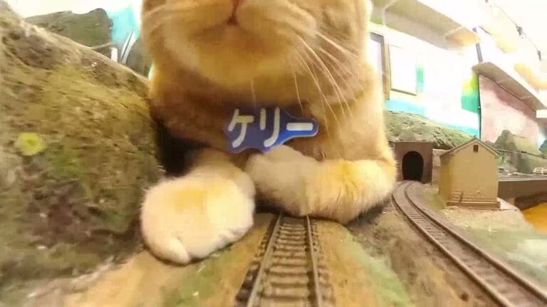 accessible gabby omniscient