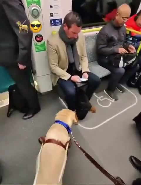 military jumpy worrisome