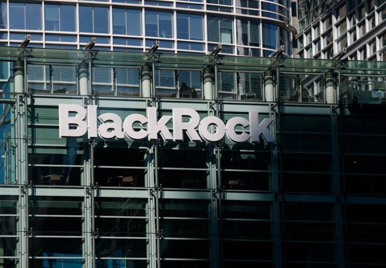 BlackRock flags AI as crypto’s next big use case, not token boom