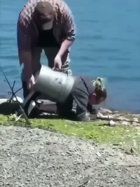 annoying waiting sociable