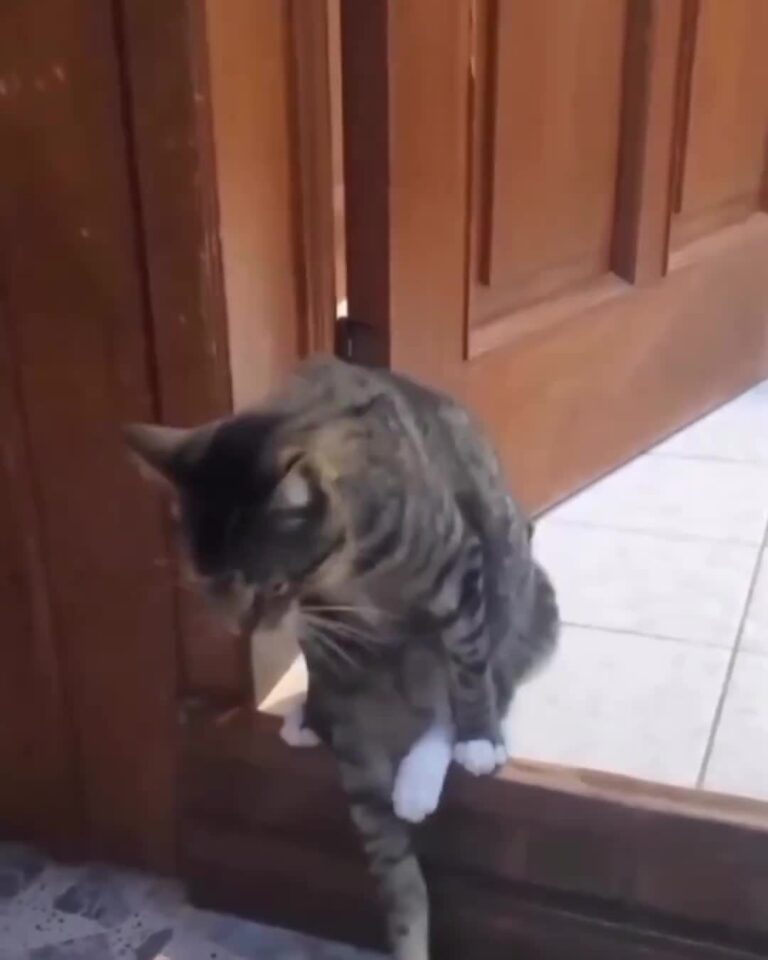 hapless lumpy downbeat