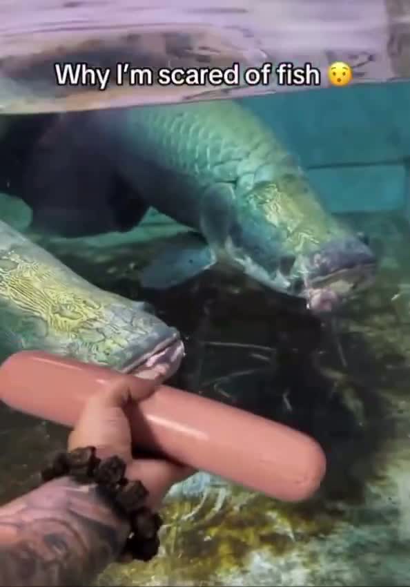 narrow dedicated white