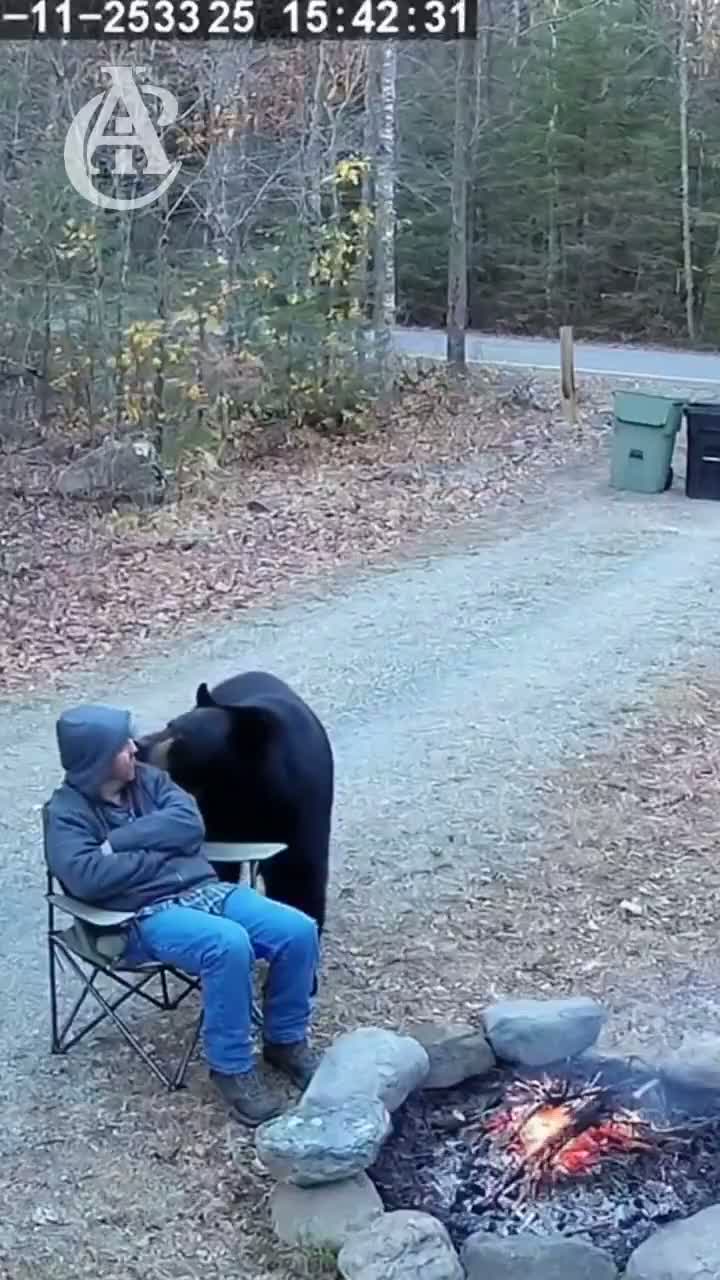 alcoholic wrathful extra-large