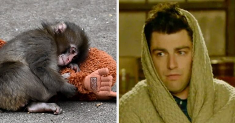 Watch A Lot Of TV And Find Out What Animal You Are Deep Down