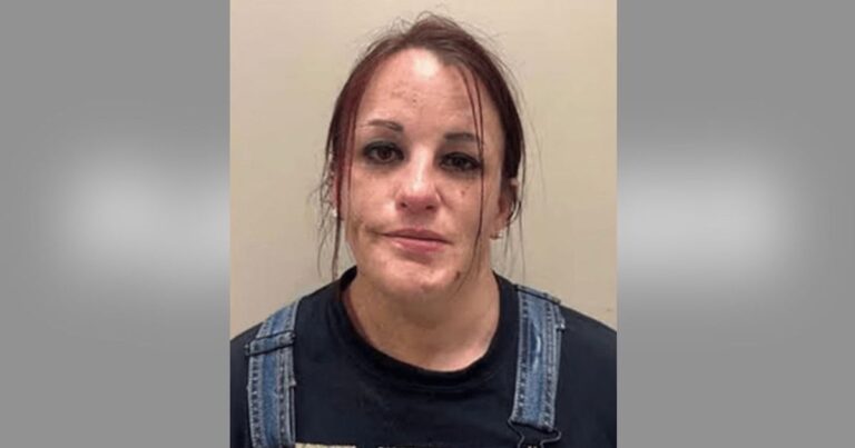 Mom Left 2 Kids in Hot Car to Go Shoplifting at Walmart