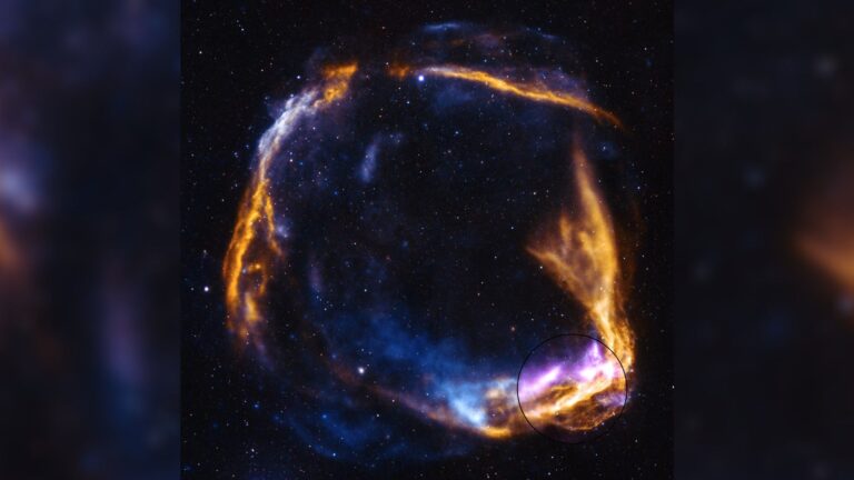 New portrait of the oldest-known supernova photo of the day for March 27, 2026