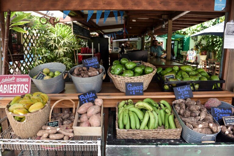 ¿Qué pueden hacer las islas del Caribe para poder tener soberanía alimentaria? » Yale Climate Connections