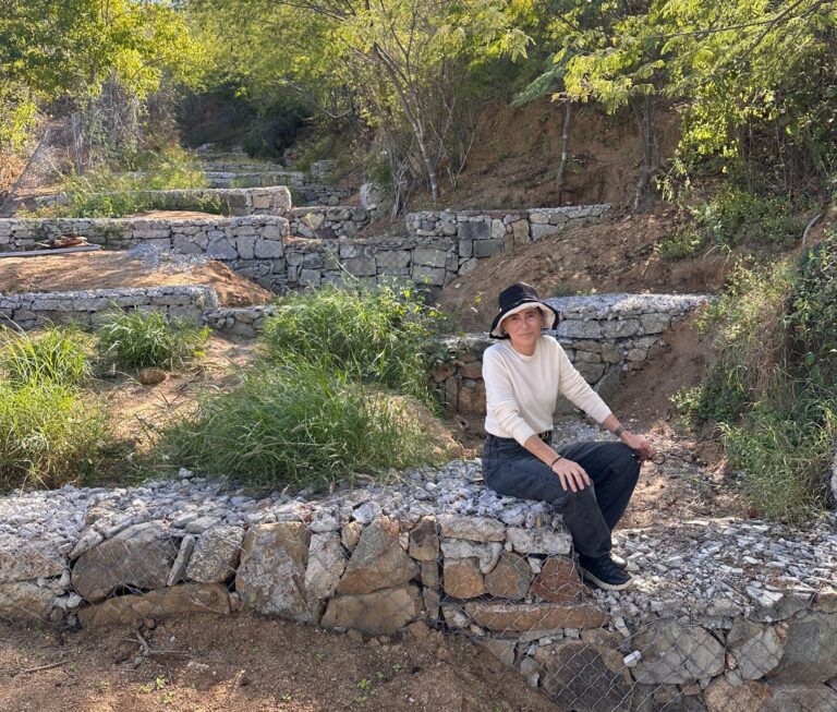 More than 2,000 tiny dams are turning a Mexican ranch green » Yale Climate Connections