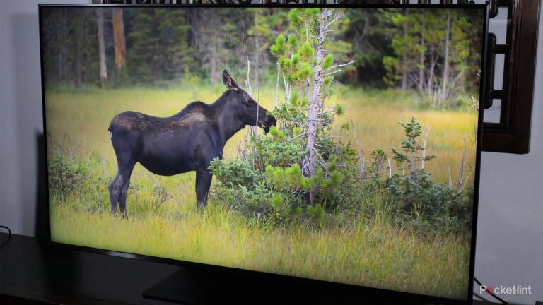 4 settings I use to fix washed-out colors on my TV