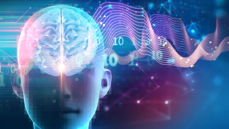 Scientists discover sleep switch that builds muscle, burns fat, and boosts brainpower