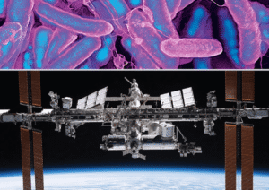 Spaceflight supercharges viruses’ ability to infect bacteria